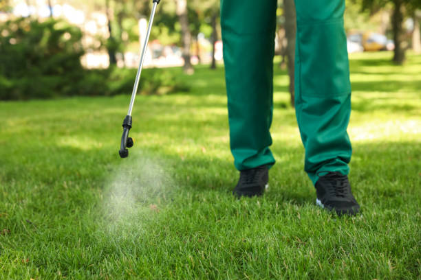 Best Local Pest Control Services  in Califon, NJ