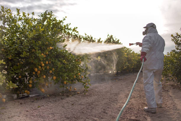 Best Wildlife Control Services  in Califon, NJ