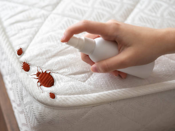 Best Flea Control Services  in Califon, NJ