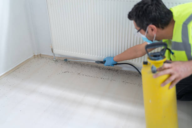 Best Best Pest Control Companies  in Califon, NJ